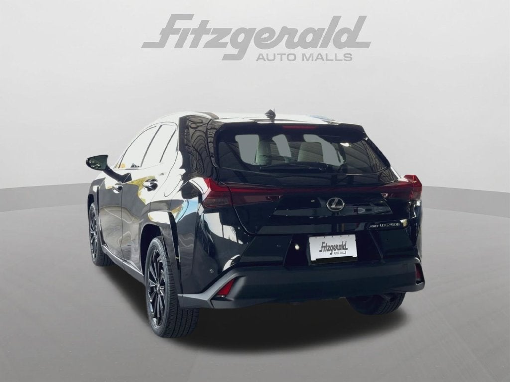 2023 Lexus UX HYBRID 250h Premium